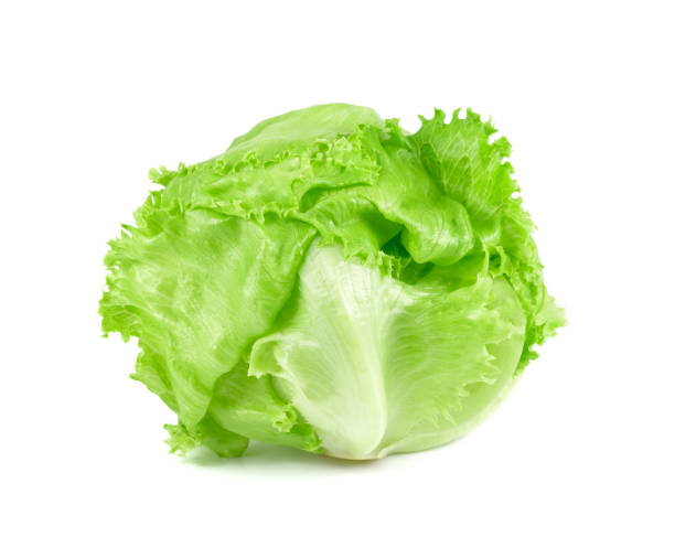 Lettuce Iceberg