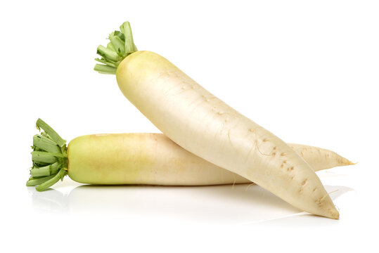 Radish White