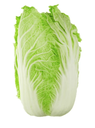 Chinese Cabbage/Wombok