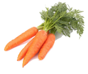 Carrots