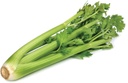 Celery