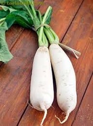 Radish